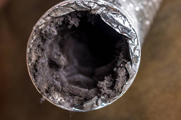 Best Local Air Duct Cleaning Services  in Rossville, TN